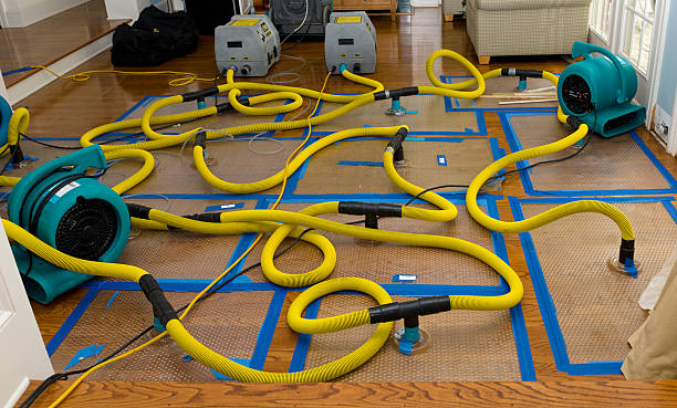 Professional Crawl Space Water Removal technician working in Lenni, PA